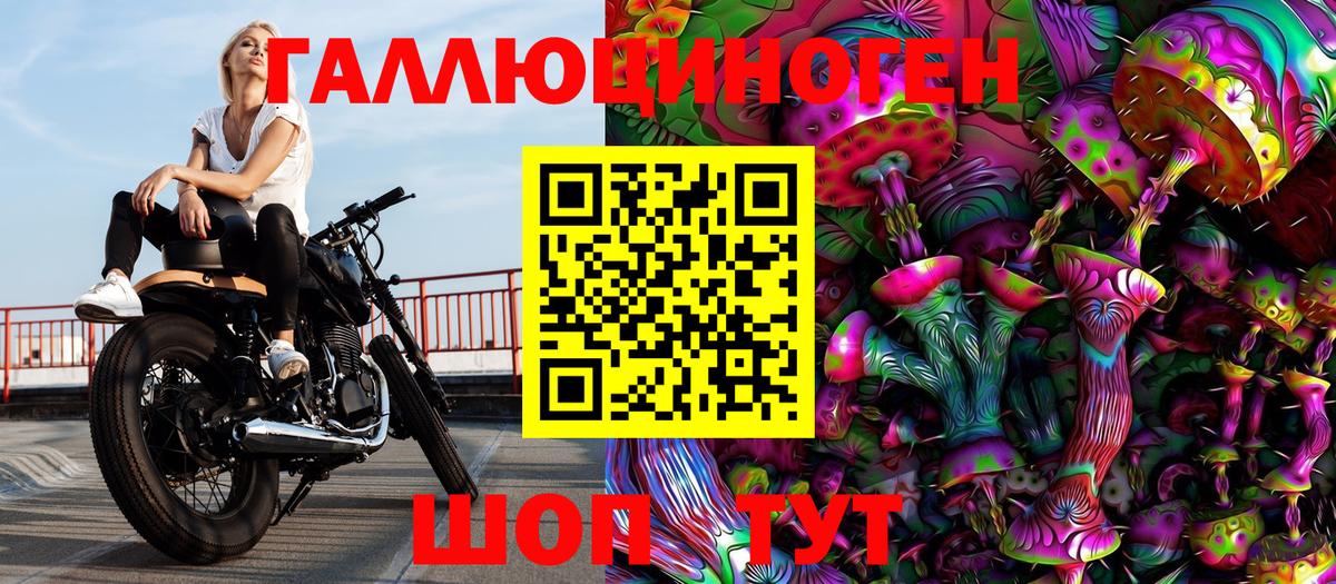 Псилоцибиновые грибы GOLDEN TEACHER Кудрово