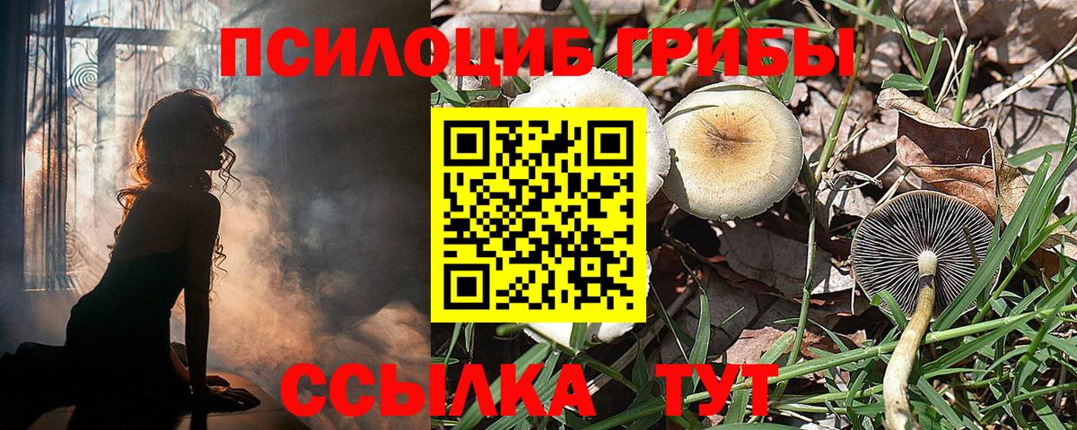 A PVP Кудрово